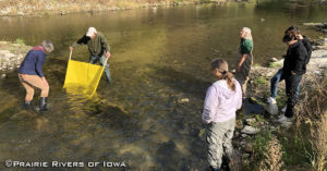 Water Quality and Invertebrate Monitoring