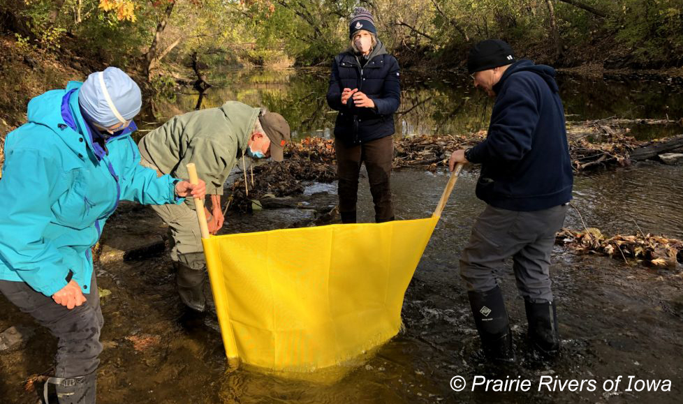 Volunteers Searching for Macroinvertebrates